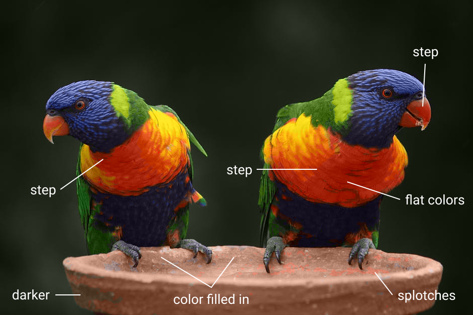 reconstructed parrot image after quantization, with artefacts